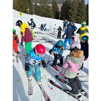 WhatsApp Image 2026-03-08 at 13.30.45